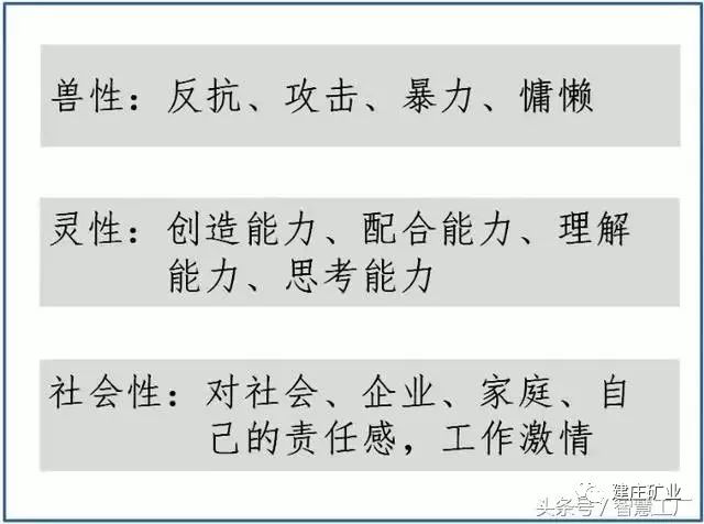 2025澳门特马今晚三肖八码必中中奖|全面释义解释落实