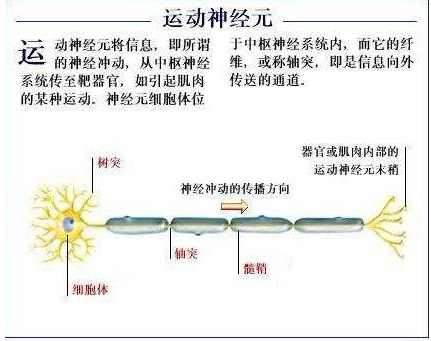 高扬苏余丰的最新消息，揭开未来的无限可能