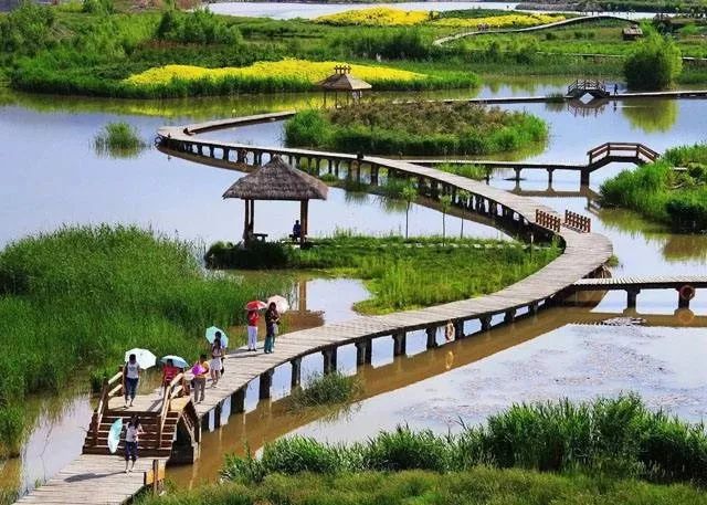 虞城湿地公园最新进展，生态建设的蓬勃发展