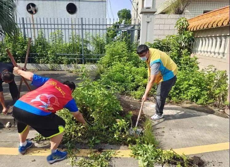 成都崇州环保检查最新消息，深化环境治理，共建绿色家园