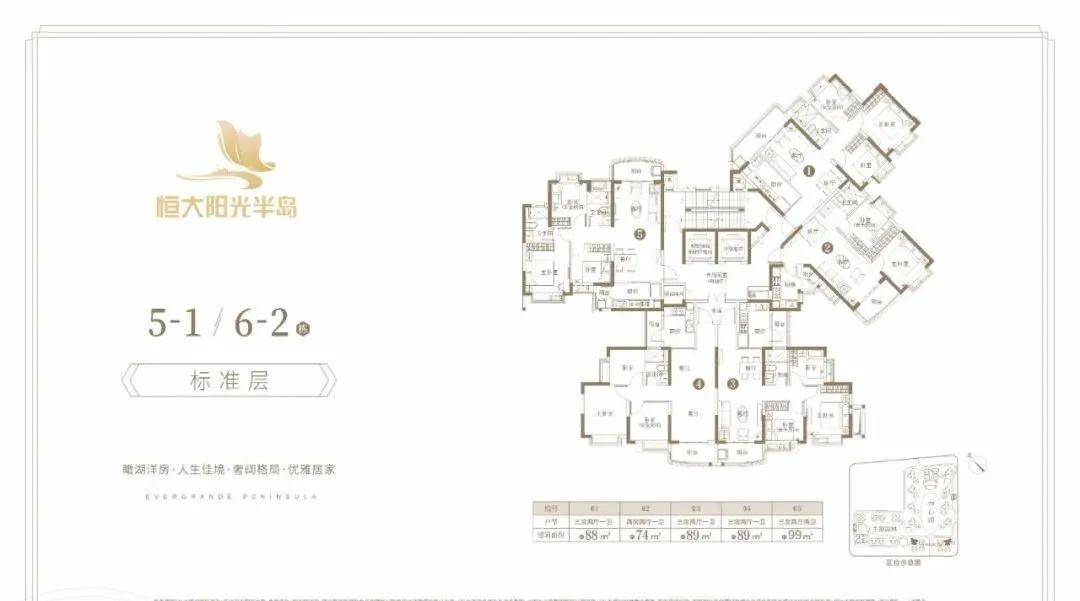 恒大阳光半岛最新消息全面解析