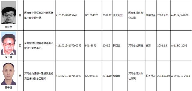 新乡市老赖最新名单及其社会影响，深度探讨与启示