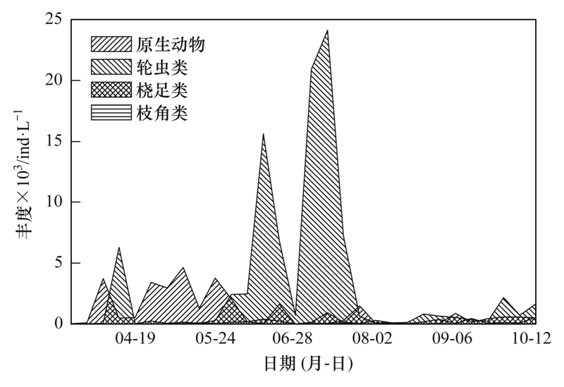 南宁各卫生院最新招聘动态及其影响