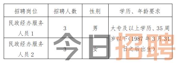 大足区招聘网最新招聘动态深度解析