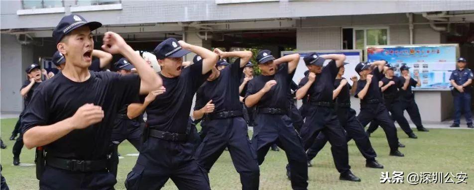 深圳辅警改革最新消息2017，探索与突破，推动警务体系新发展