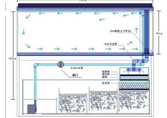 最新款鱼缸底滤设计图，打造优雅的水族环境