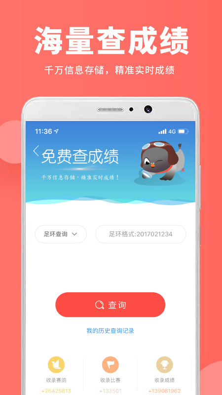 探索奇鸽app最新版，功能与体验的全面升级